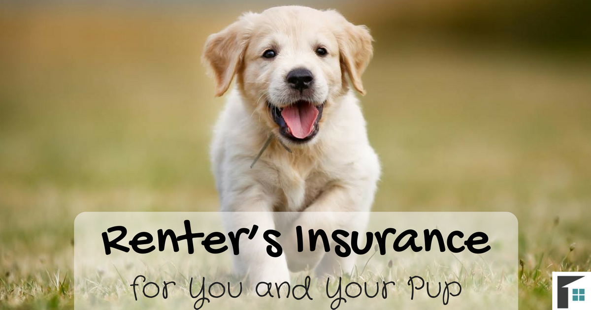 Renter’s Insurance for You and Your Pup