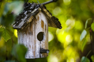 Bird-Bat House Lawn Ornament