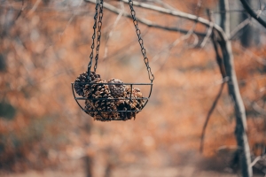 Bird Feeder Lawn Ornament