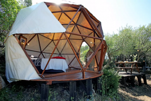 Geodesic Dome - Airbnb Rentals