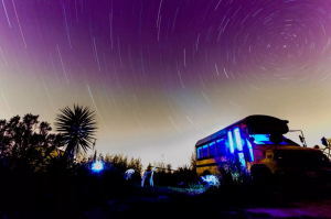 One-of-a-kind Converted Magic School Bus Adventure - Airbnb Rentals