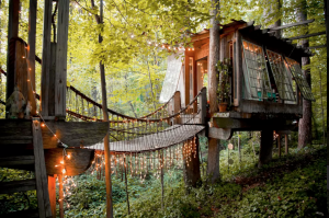 Secluded Intown Treehouse - Airbnb Rentals