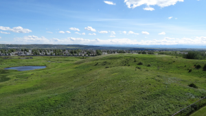 Signal Hill - Calgary Neighbourhoods