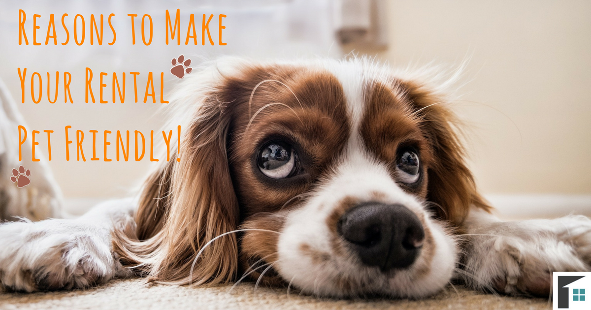 Reasons to Make Your Rental Pet Friendly